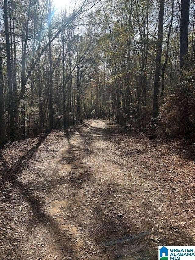 15 Acres of Land for Sale in Clanton, Alabama