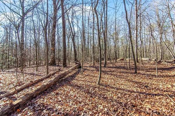 6 Acres of Residential Land for Sale in Ellijay, Georgia