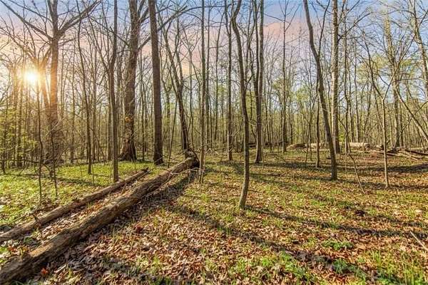 6 Acres of Residential Land for Sale in Ellijay, Georgia