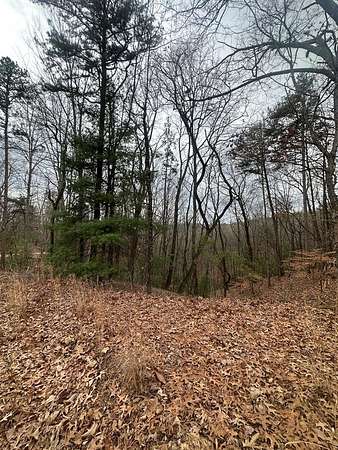 1.44 Acres of Residential Land for Sale in Ellijay, Georgia