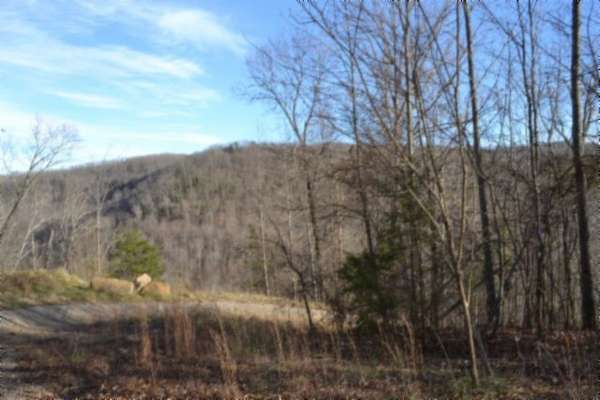 5 Acres of Residential Land for Sale in Crawford, Tennessee