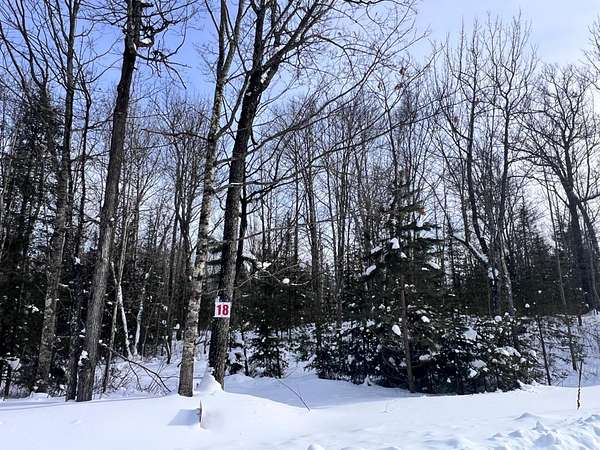 1.53 Acres of Residential Land for Sale in Eagle River, Wisconsin