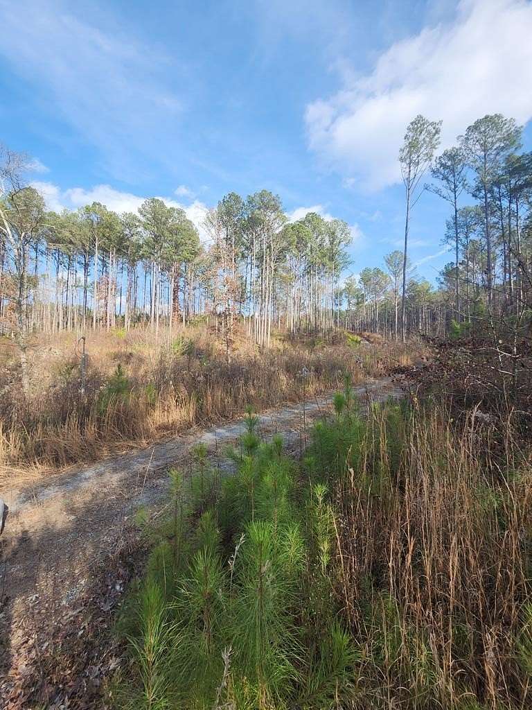 4 Acres of Residential Land for Sale in Dalton, Georgia