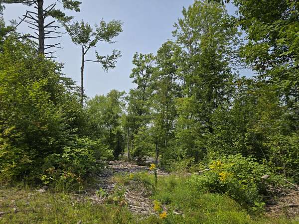 1.1 Acres of Residential Land for Sale in Sebec, Maine