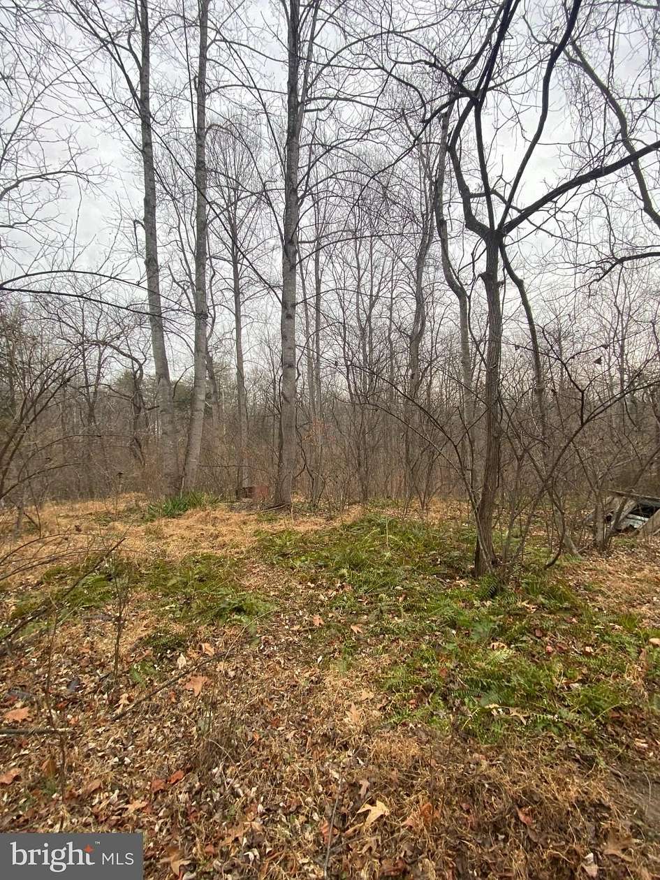 2 Acres of Residential Land for Sale in Rixeyville, Virginia