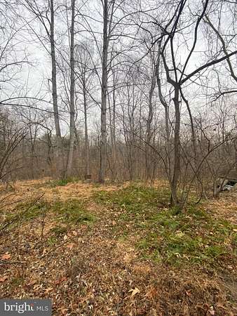2 Acres of Residential Land for Sale in Rixeyville, Virginia