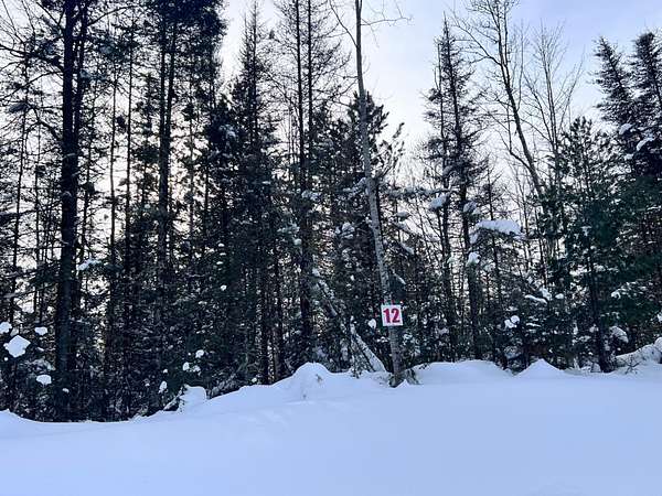 1.57 Acres of Residential Land for Sale in Eagle River, Wisconsin