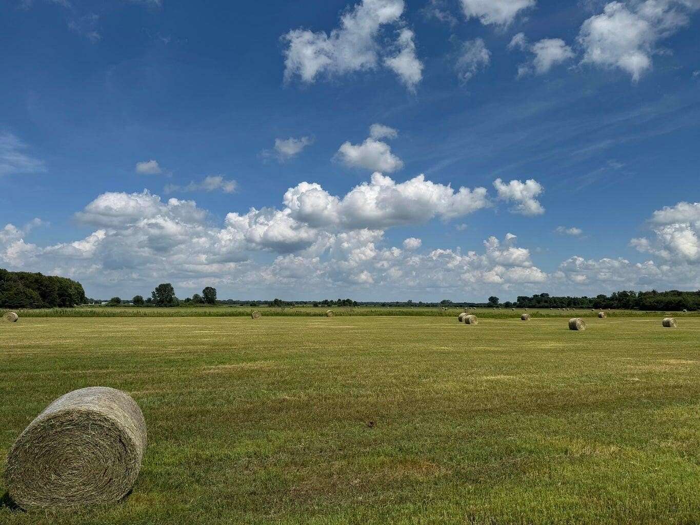 20 Acres of Recreational Land & Farm for Sale in Lake Village, Indiana