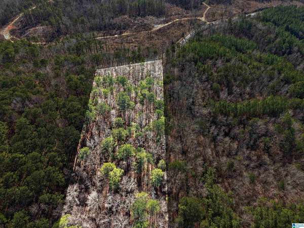 6 Acres of Residential Land for Sale in Adger, Alabama