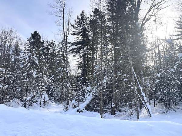 1.53 Acres of Residential Land for Sale in Eagle River, Wisconsin