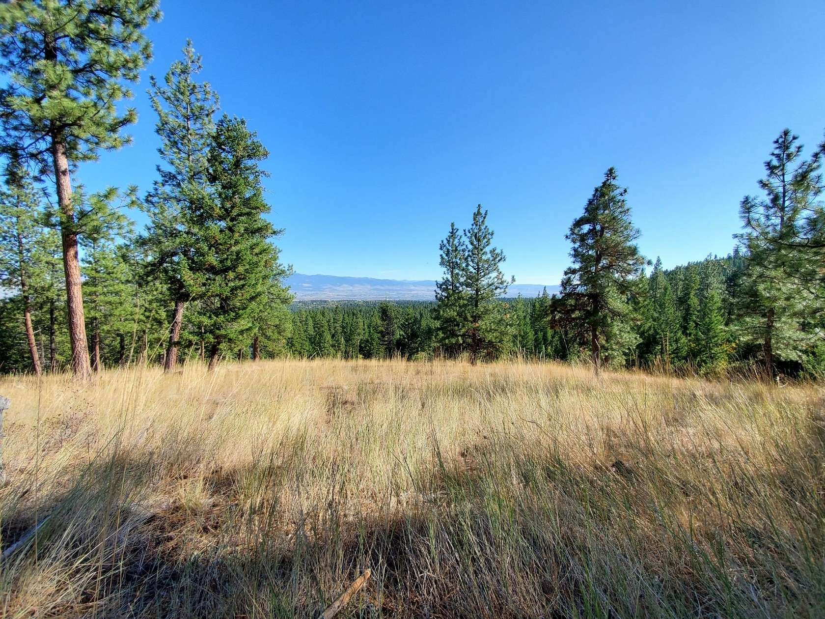 25.7 Acres of Recreational Land for Sale in Victor, Montana