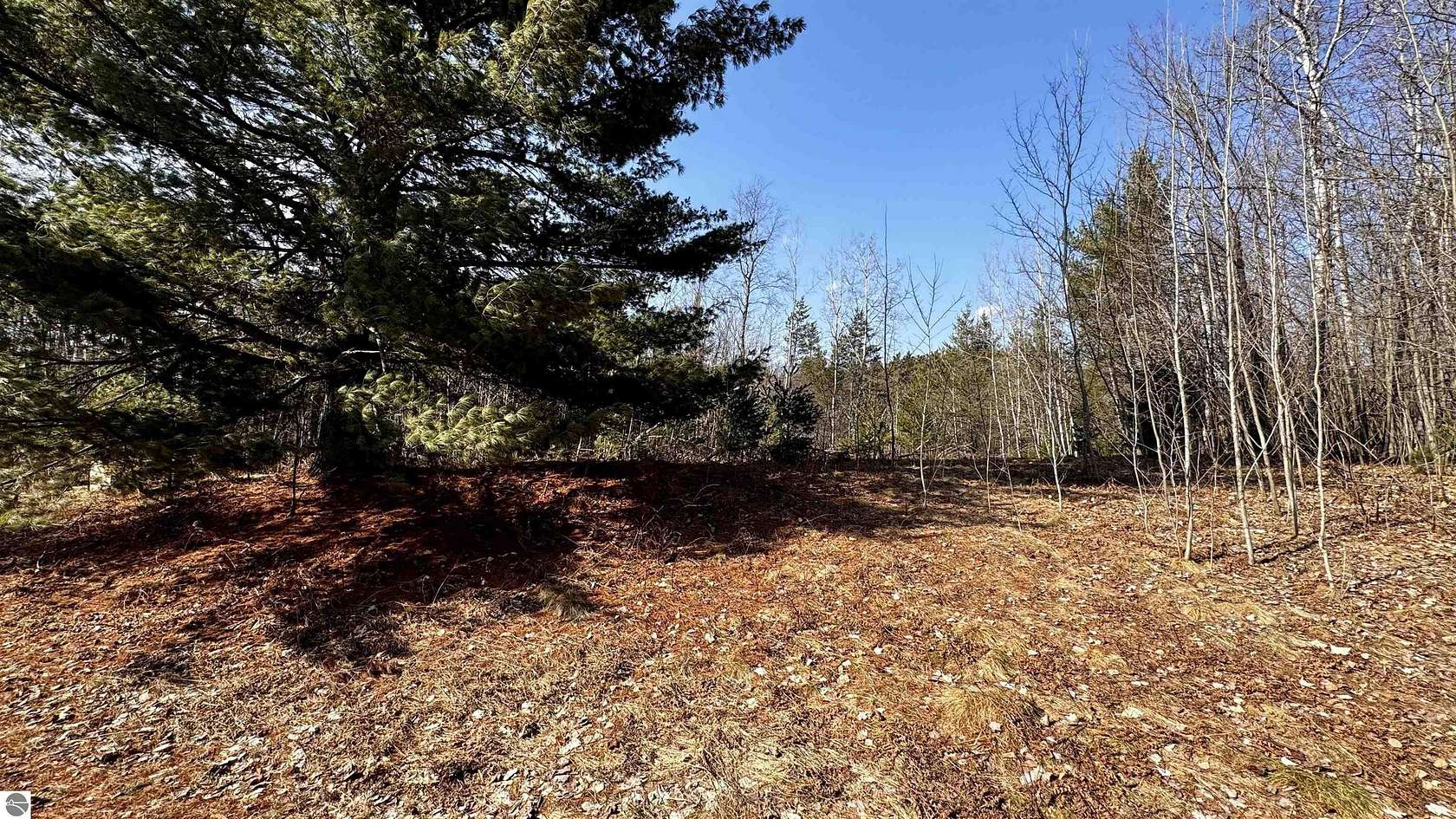 0.49 Acres of Residential Land for Sale in Cadillac, Michigan