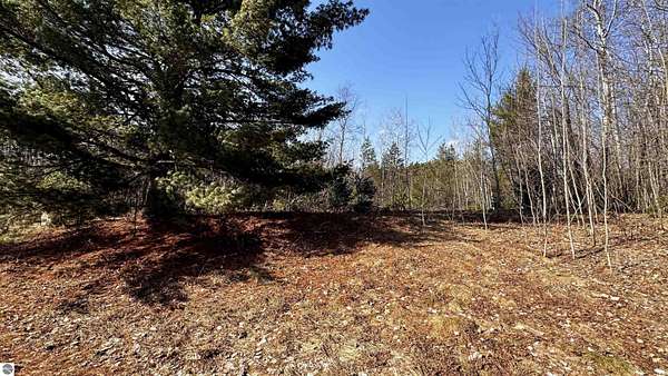 0.49 Acres of Residential Land for Sale in Cadillac, Michigan