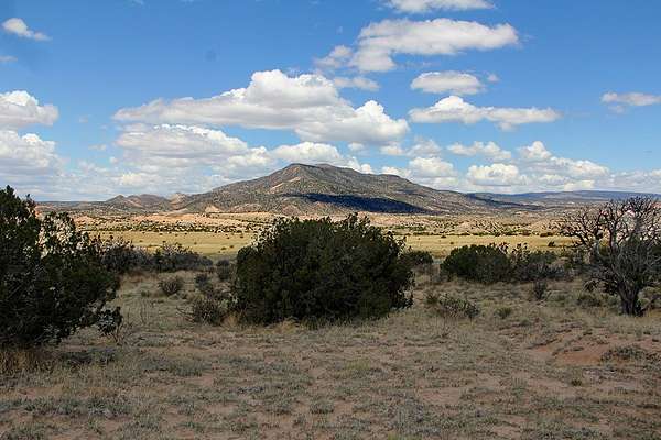 11.5 Acres of Land for Sale in Abiquiu, New Mexico