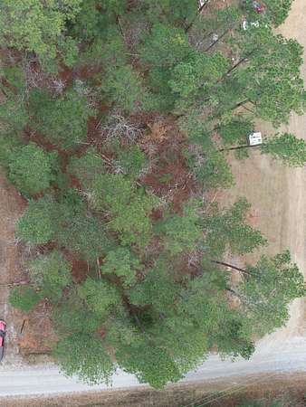 1 Acre of Residential Land for Sale in Iva, South Carolina