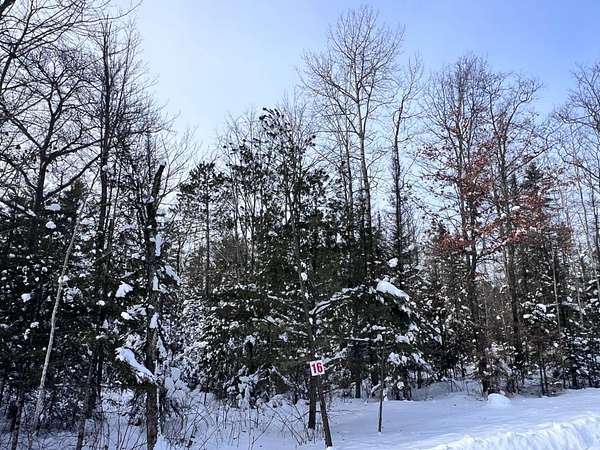 1.66 Acres of Residential Land for Sale in Eagle River, Wisconsin