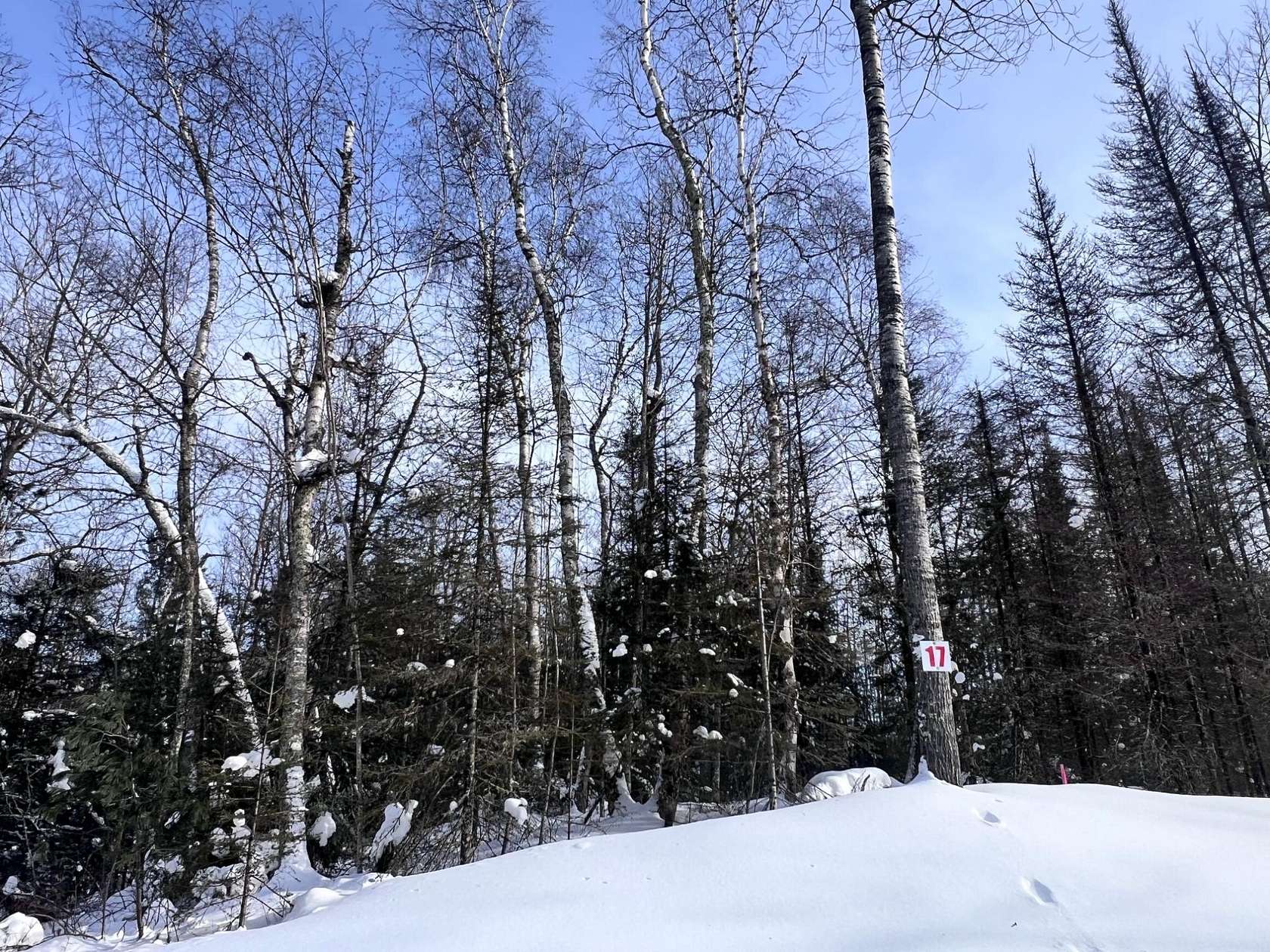 1.5 Acres of Residential Land for Sale in Eagle River, Wisconsin