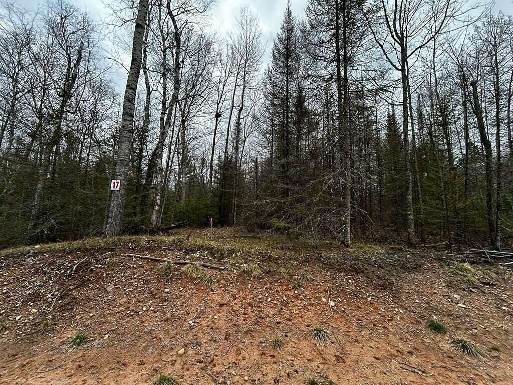 1.5 Acres of Residential Land for Sale in Eagle River, Wisconsin