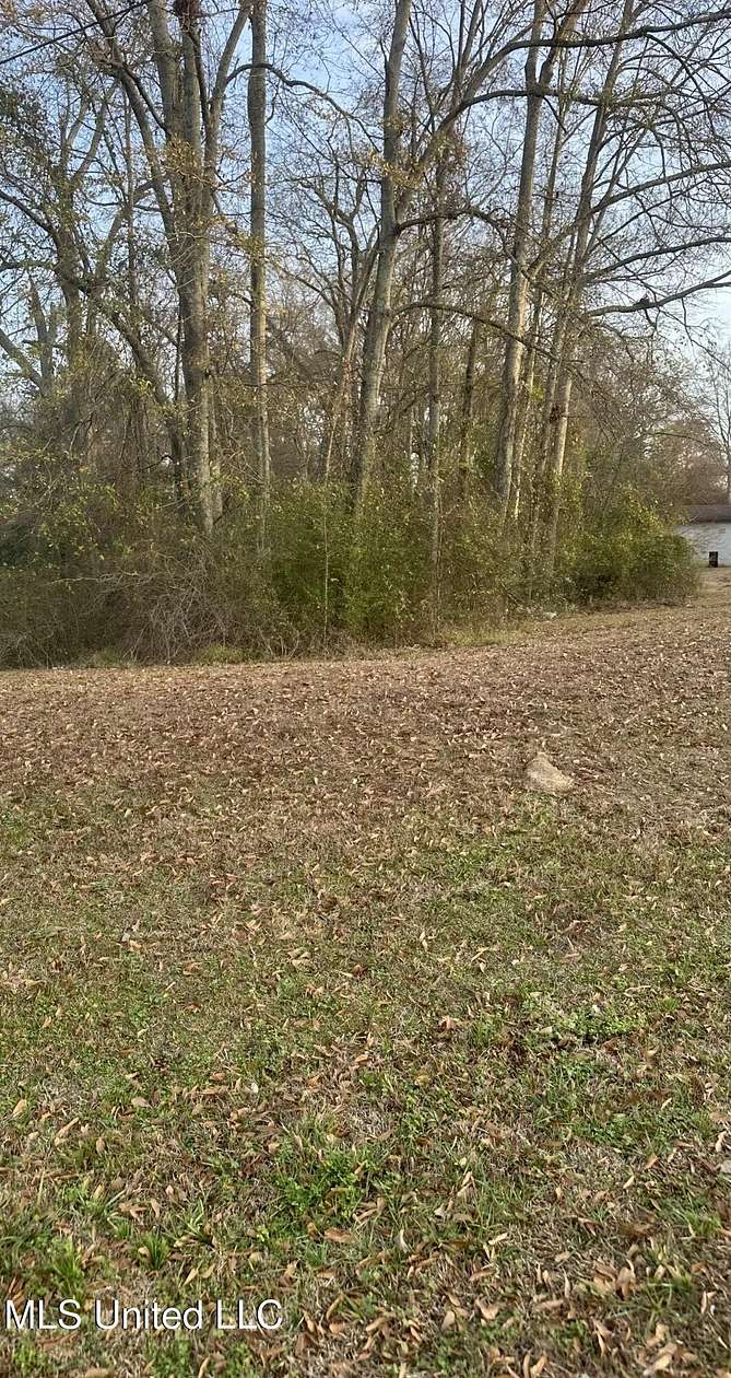 0.33 Acres of Commercial Land for Sale in Morton, Mississippi