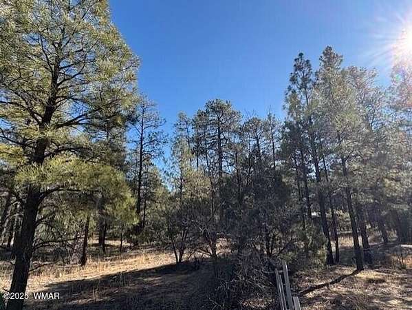 0.05 Acres of Residential Land for Sale in Show Low, Arizona