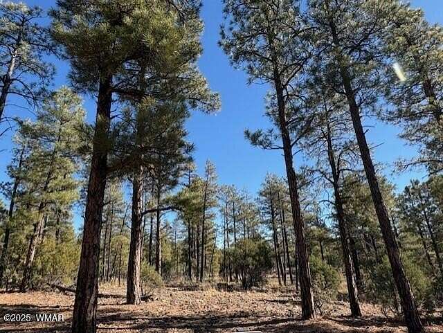 0.05 Acres of Residential Land for Sale in Show Low, Arizona