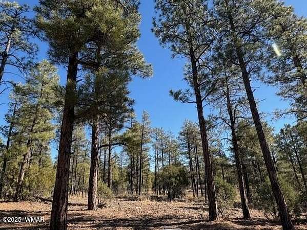 0.05 Acres of Residential Land for Sale in Show Low, Arizona