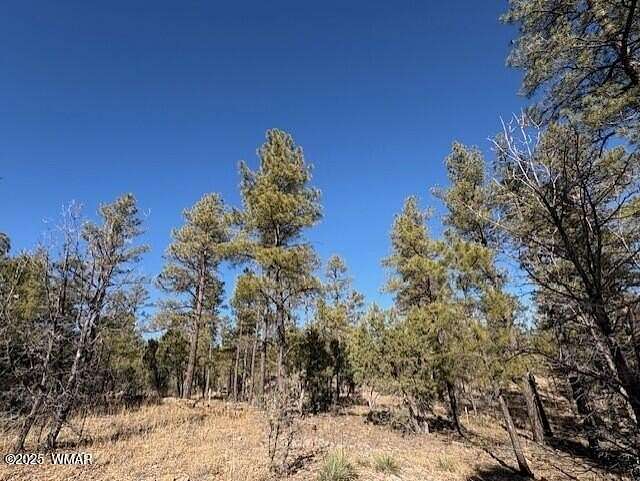 0.05 Acres of Residential Land for Sale in Show Low, Arizona