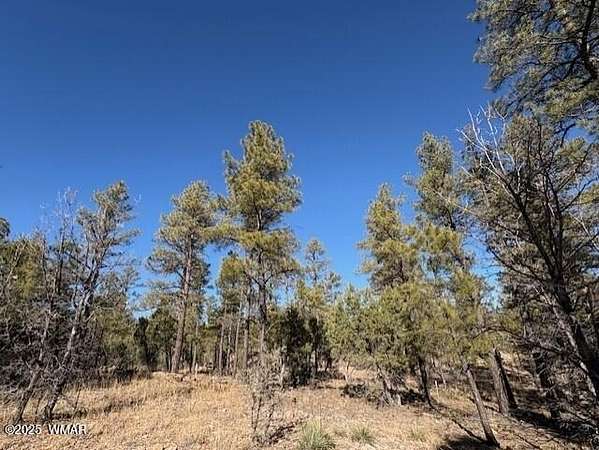 0.05 Acres of Residential Land for Sale in Show Low, Arizona