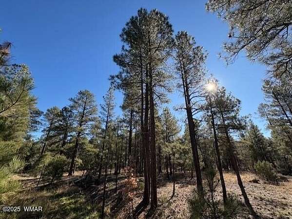 0.05 Acres of Residential Land for Sale in Show Low, Arizona