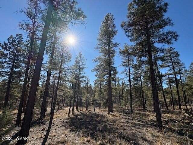 0.05 Acres of Residential Land for Sale in Show Low, Arizona