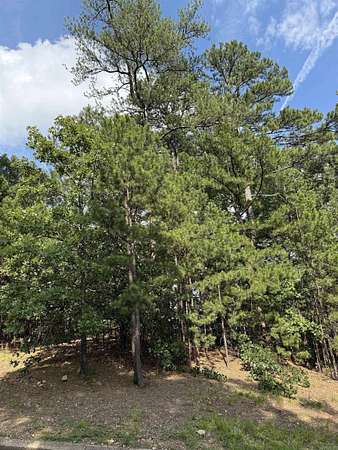 0.23 Acres of Residential Land for Sale in Little Rock, Arkansas