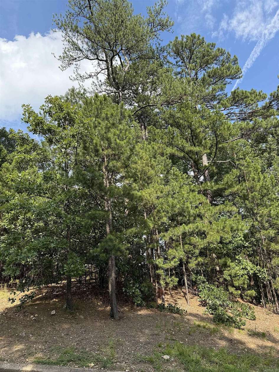 0.29 Acres of Residential Land for Sale in Little Rock, Arkansas