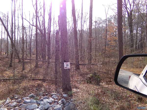 0.19 Acres of Land for Sale in Cedar Bluff, Alabama