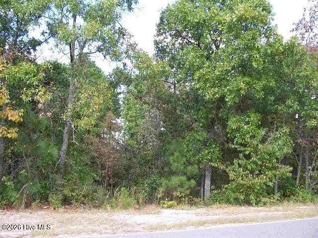 1.17 Acres of Residential Land for Sale in West End, North Carolina