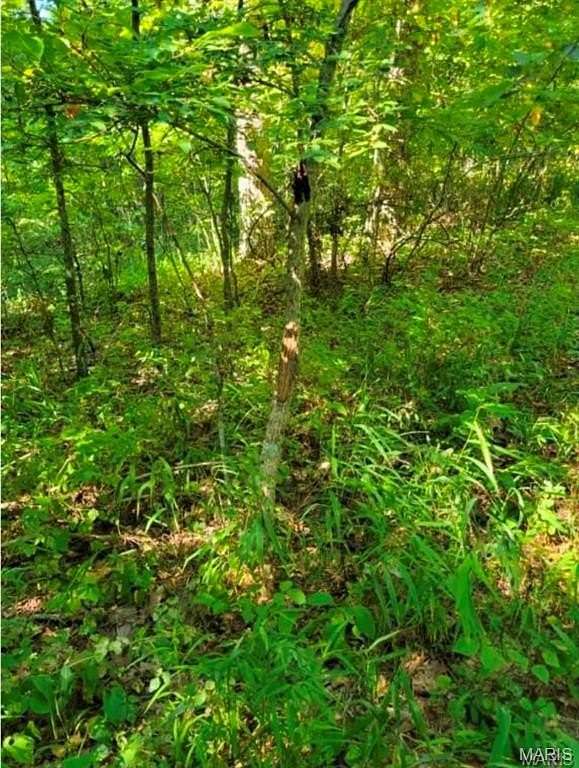 9.77 Acres of Recreational Land for Sale in Ellington, Missouri