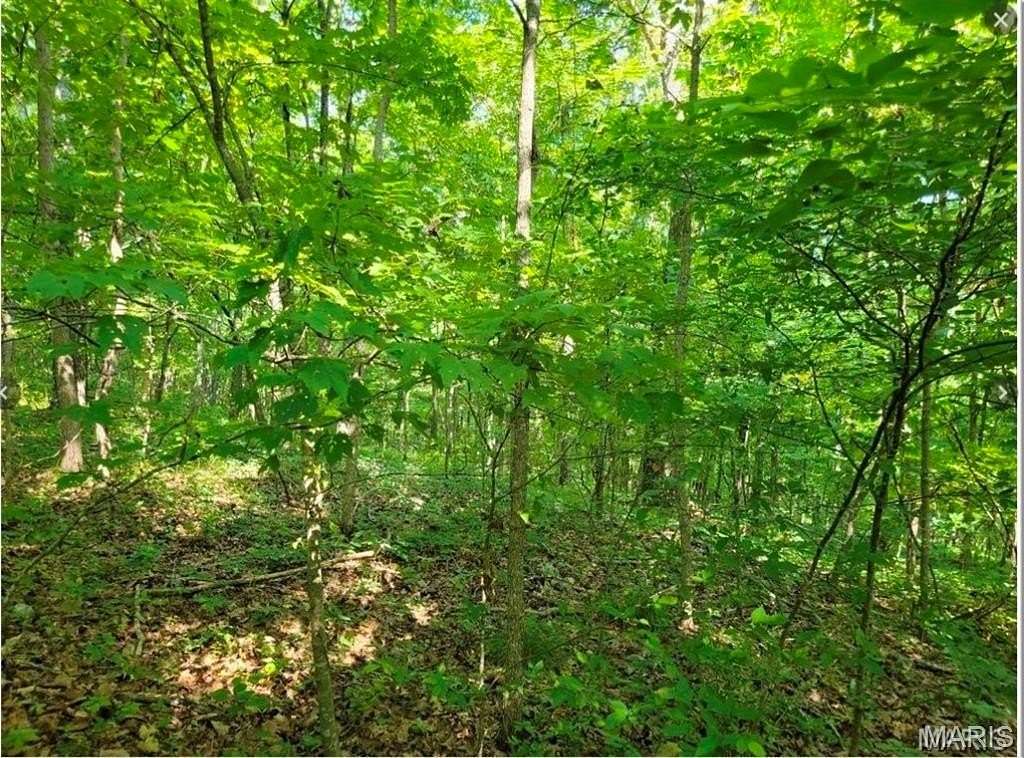 9.86 Acres of Recreational Land for Sale in Ellington, Missouri