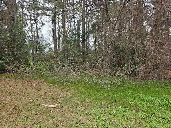 1 Acre of Residential Land for Sale in Brookeland, Texas