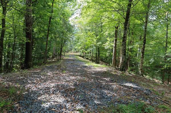 276 Acres of Recreational Land for Sale in Columbia, Louisiana