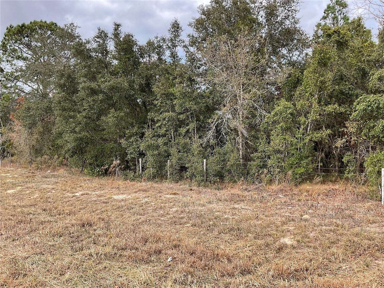 1 Acre of Land for Sale in Williston, Florida