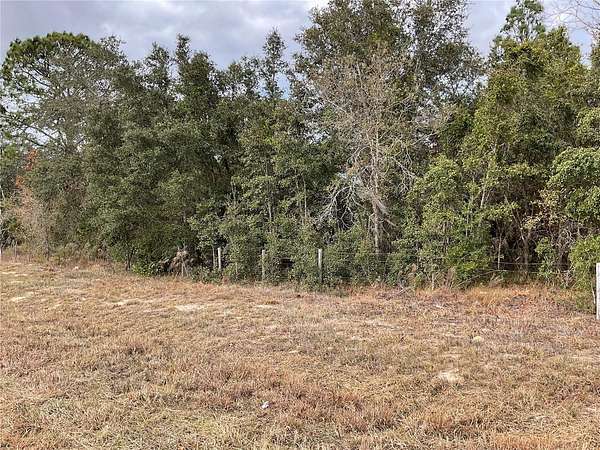 1 Acre of Land for Sale in Williston, Florida