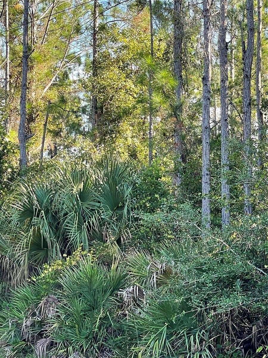 50 Acres of Recreational Land for Sale in Deltona, Florida