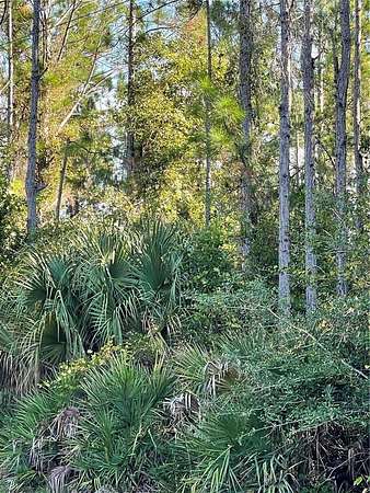 50 Acres of Recreational Land for Sale in Deltona, Florida