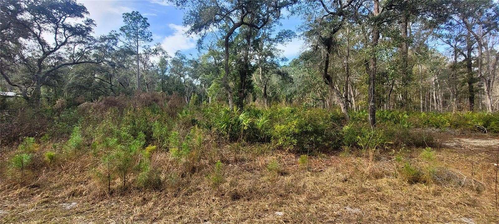 2.1 Acres of Residential Land for Sale in White Springs, Florida