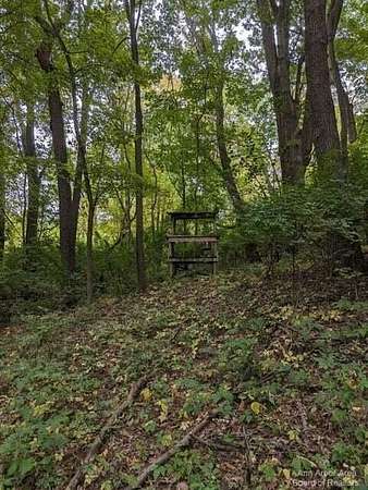 20 Acres of Recreational Land & Farm for Sale in Horton, Michigan