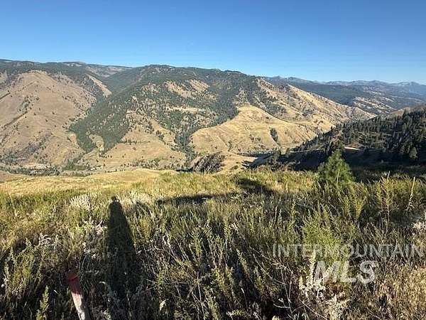 26.2 Acres of Recreational Land for Sale in Pollock, Idaho