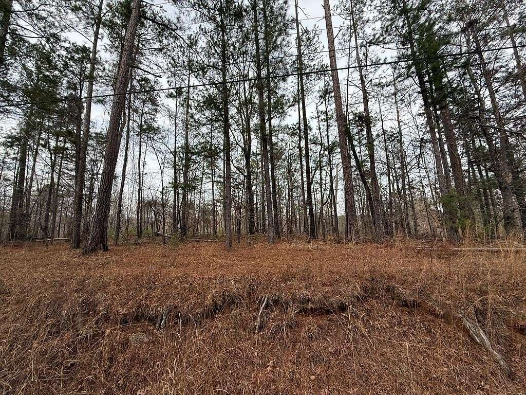 0.52 Acres of Residential Land for Sale in Sparta, Georgia