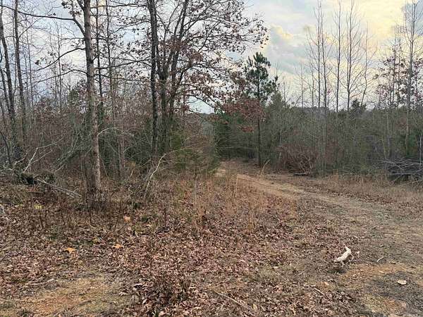 40 Acres of Recreational Land for Sale in Mena, Arkansas
