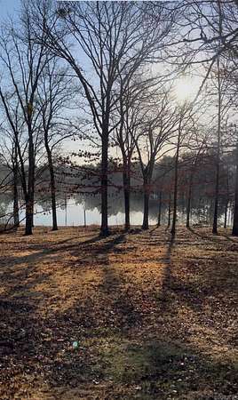 0.48 Acres of Residential Land for Sale in Clinton, Arkansas