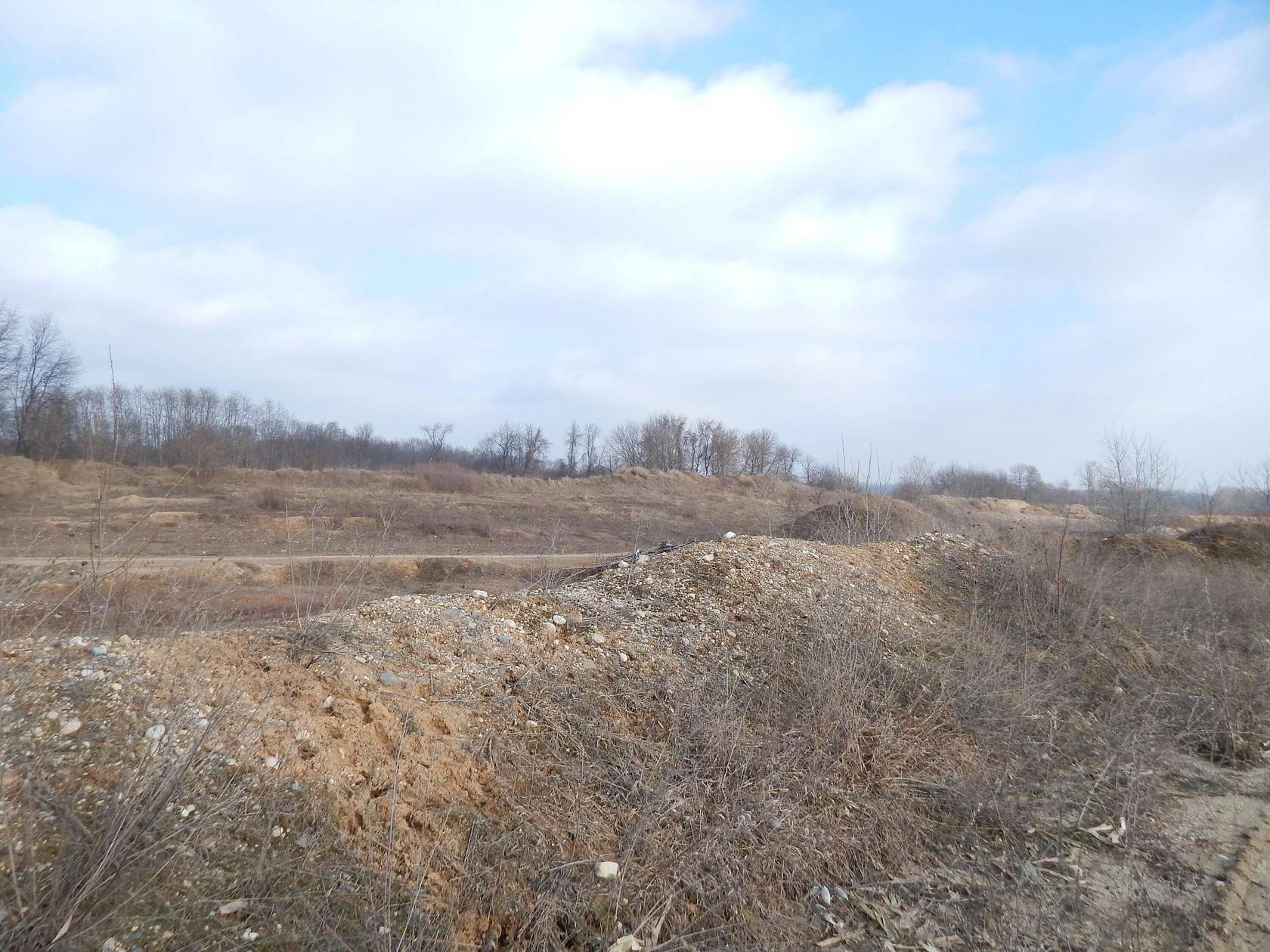 15.5 Acres of Land for Sale in Sparta, Michigan