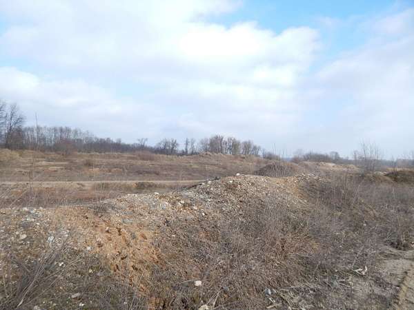 15.5 Acres of Land for Sale in Sparta, Michigan